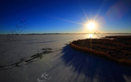 冬日花湖图片