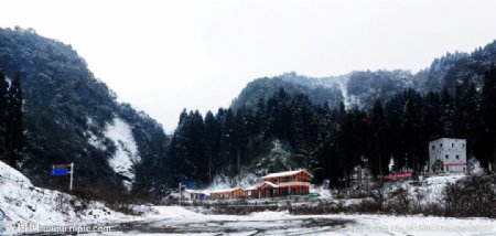 鸡冠山之冬图片