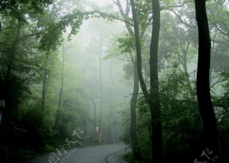 岳麓山图片