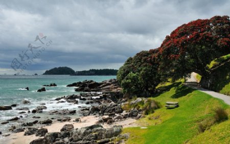 新西兰海岸图片