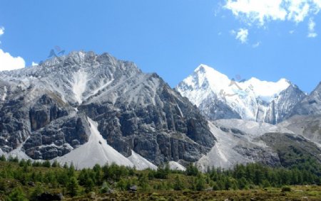 雪山草地雪山风景图片