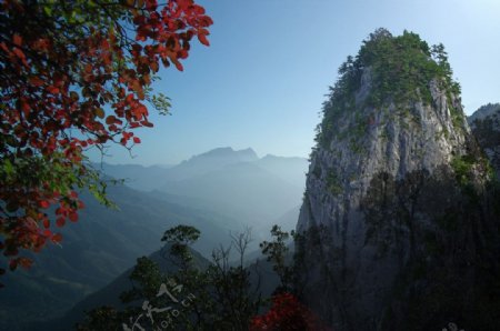 天竺摩宵图片