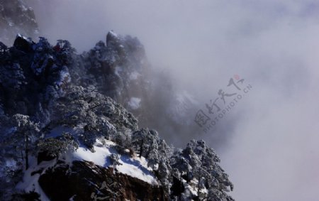 黄山雪景图图片