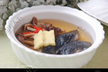 茶树菇炖竹荪鸡图片