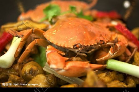 自己拍的一些中式菜咖喱螃蟹图片