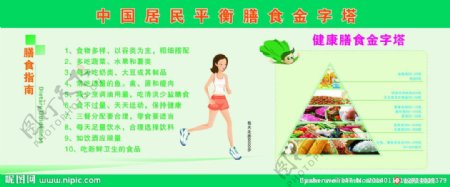 中国居民膳食纤维金字图片