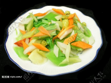 翠绿丐菜图片