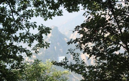 华山远峰图片