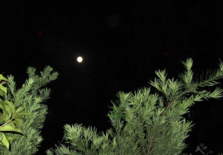 今年中秋的月亮图片