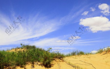沙漠小景图片