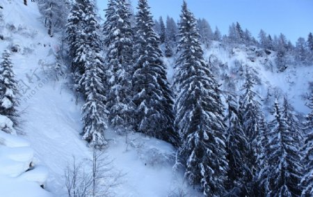 法国霞慕尼雪景图片