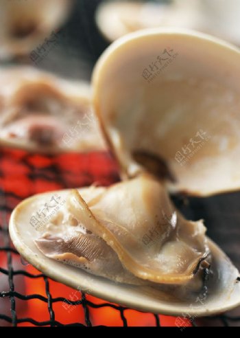 烤花蛤图片