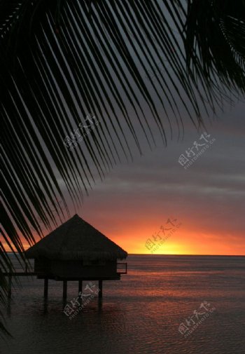 夏威夷度假村落日风景图片