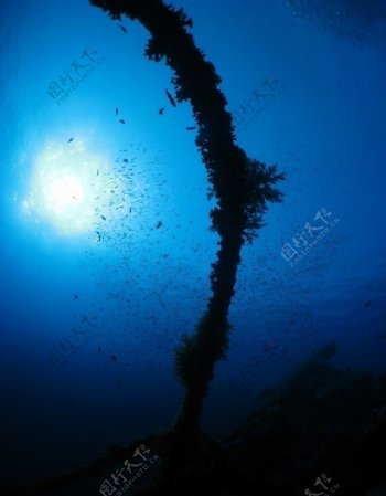 蓝色神秘海底世界图片