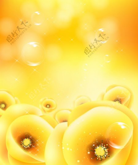 梦幻黄色花朵图片