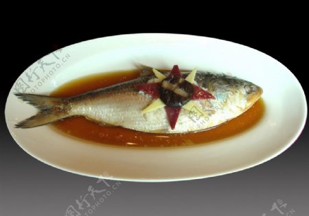 缅甸红福蒸鲥鱼图片