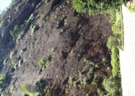 武夷山岩石图片