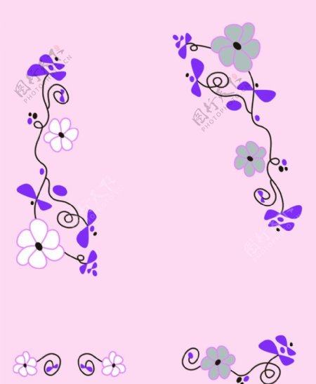 紫露凝香图片