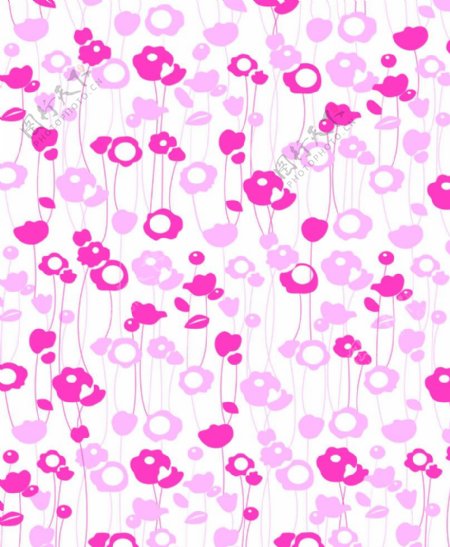 粉红花语图片