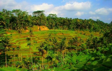 巴厘岛景观图片