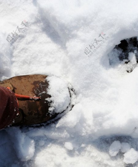 春雪脚印图片