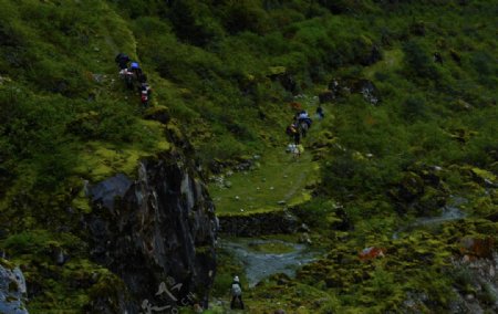 高山登山者图片