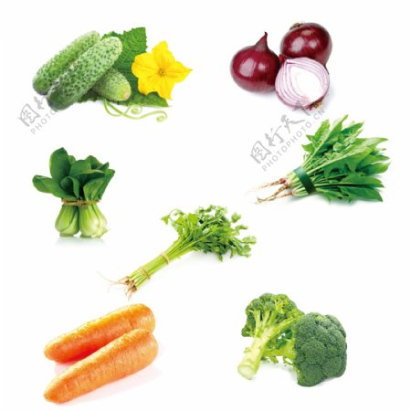 蔬菜新鲜菜篮子图片
