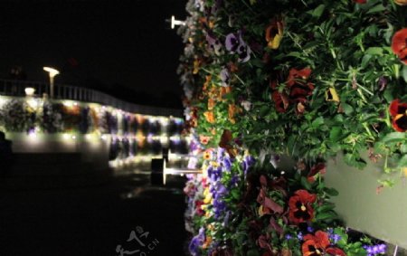 台灣國際花卉博覽會夜晚图片