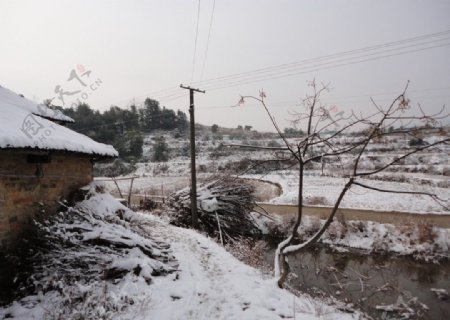 家乡雪景图片