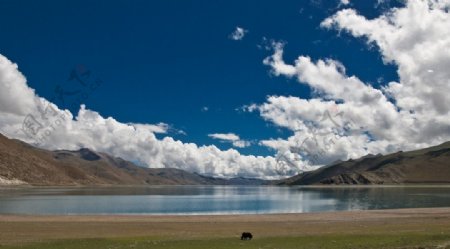 西藏摄影图片