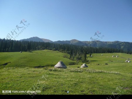 草原与蒙古包图片