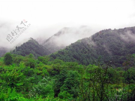陕西省凤县紫柏山风景区初秋雨后云雾缭绕的景色图片