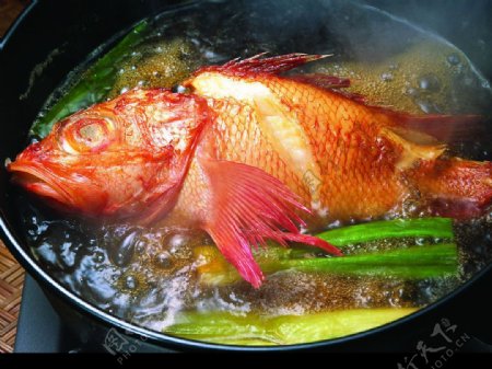 大锅鱼图片