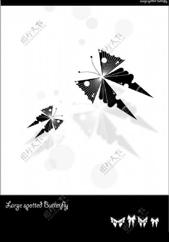 黑色蝴蝶图片