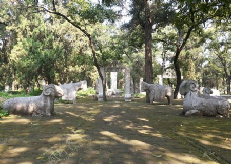 孔林墓园图片