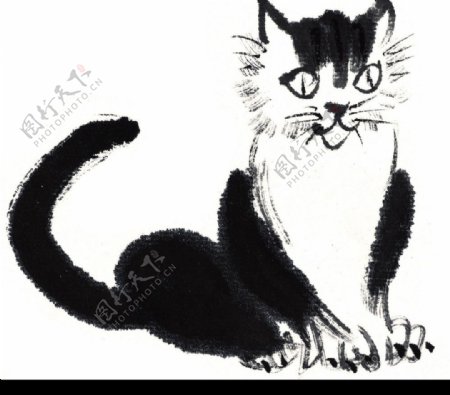 水墨风格的猫咪图片