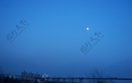 塘沽滨海夜景图片