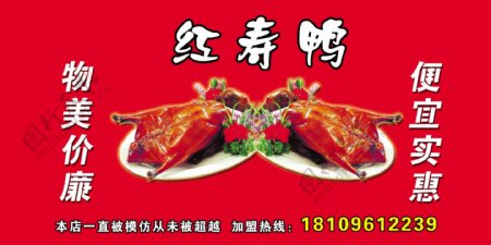红寿鸭图片