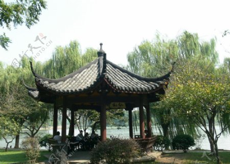 杭州西湖苏堤图片