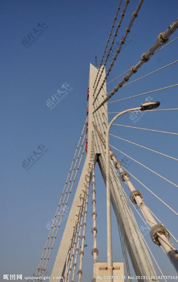 燕宏桥图片