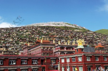 藏区佛学院图片