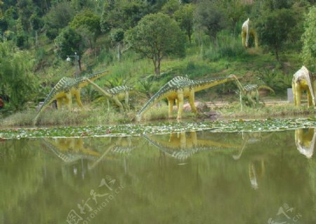 云南恐龙谷图片