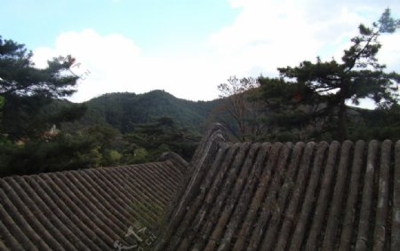 潭柘寺屋顶图片