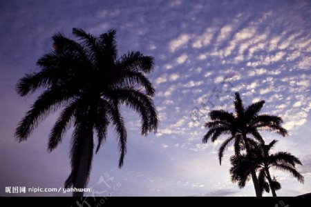 加勒比海风光海滩系列九图片