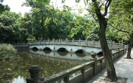 中山公园拱桥图片