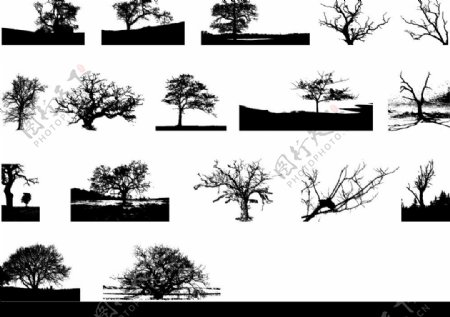 树AI图片
