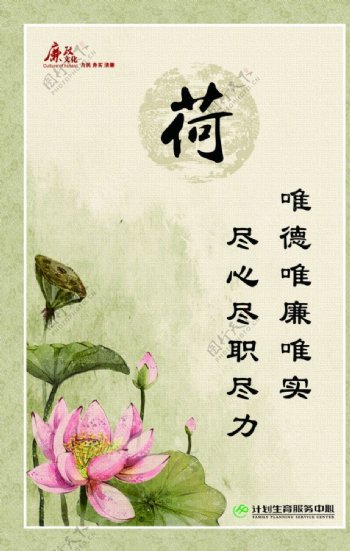 荷梅兰竹菊图片
