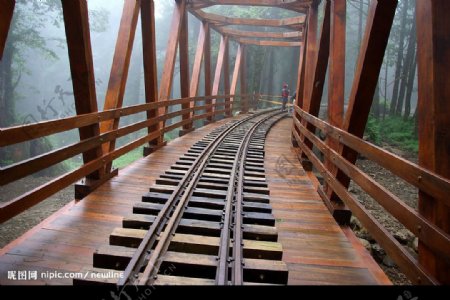 阿里山神木鐵道图片