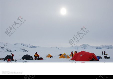 極地的陽光图片
