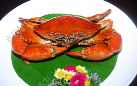 餐饮美食螃蟹可口美味西餐海鲜海味图片